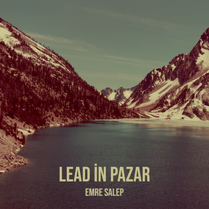 Lead İn Pazar