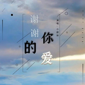 谢谢你的爱(伴奏)
