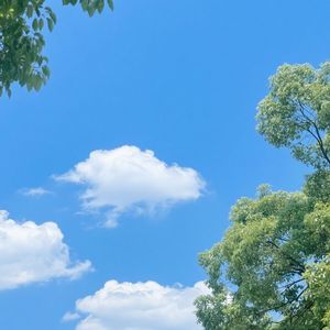 蜂飞土韵
