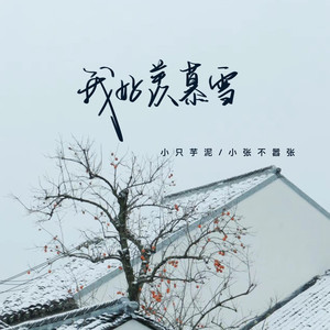 我好羡慕雪