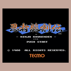 忍者龙剑传 隼龙与艾琳（翻自 忍者龙剑传）