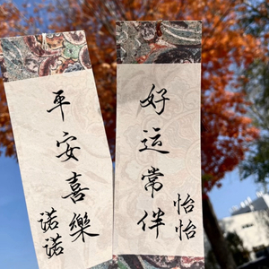 李佳诺and魏子怡