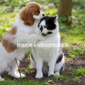 Amazing Backdrops for Cats and Babies
