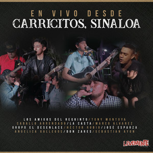 Javier Diaz (En Vivo)