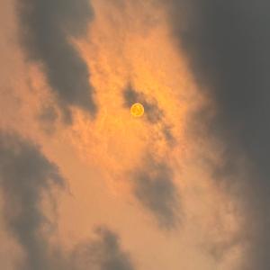 Todos tus sentidos (feat. Mörgøn) (Demo)