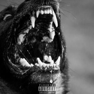 精锐部队 (M.B.L.K.)