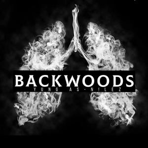Backwoodz (feat. N!LEZ)