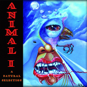 Colin the Bear (Live)