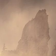 你从未在意过我