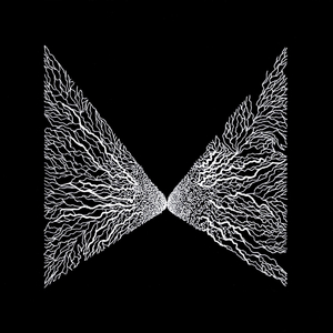 Push And Bite (Original Mix)