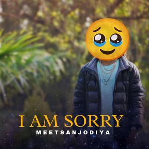 I am sorry