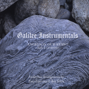 Wind of the Spirit (Jesus & Nicodemus)