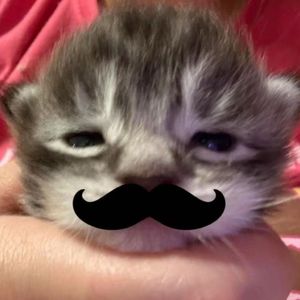 “云飞扬*SASIOVERLXRD/Mula Sakee/NewJazz孟菲斯 type beat