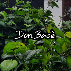 Don Base