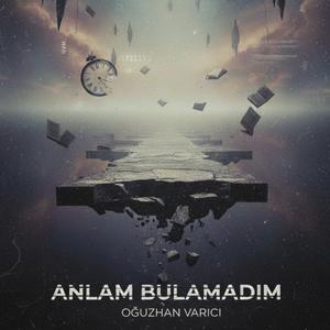 ANLAM BULAMADIM