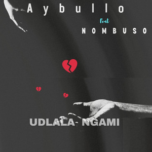 Udlala Ngami