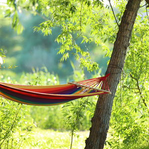 たえまなく注ぐ森の愛