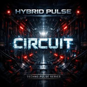 Circuit