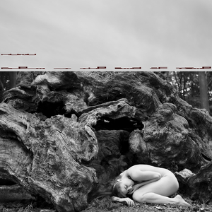 Drifting Reflections