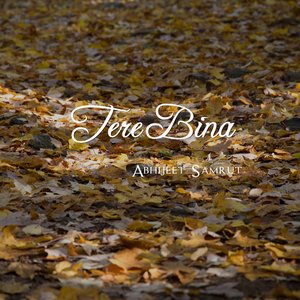 Tere Bina
