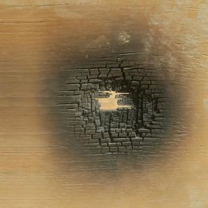 Divinorum