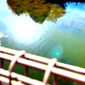 待合室でみた夢