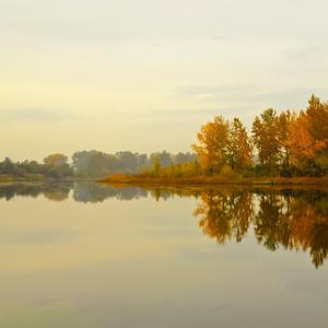 Autumn in synth - Vivaldi (Special Version)