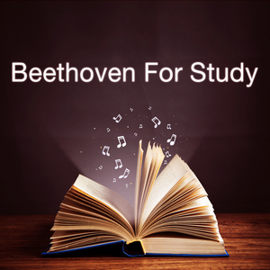 Violin Romance No.2 in F major, Op.50