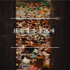 杨花落尽子规啼