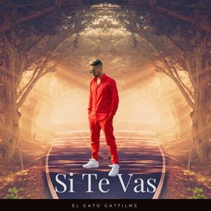 Si Te Vas