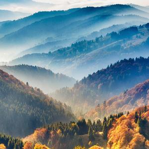 Living Hope (Piano Version)