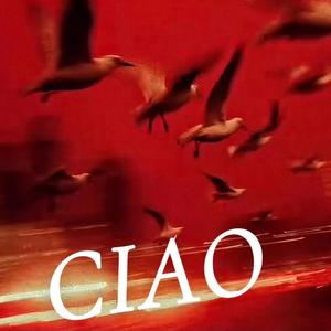 Induzione alla morte