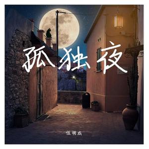 孤独夜
