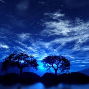 【指弹吉他】风之诗 纯音乐 唯美 轻松 押尾桑（翻自 押尾コータロー）