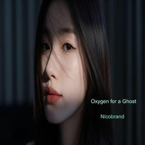 The Architecture of Silence