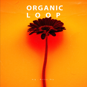 Guitar Day (Rousing House Dub Remix)