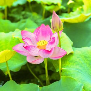 共渡此生终不悔