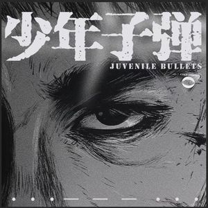 少年子弹