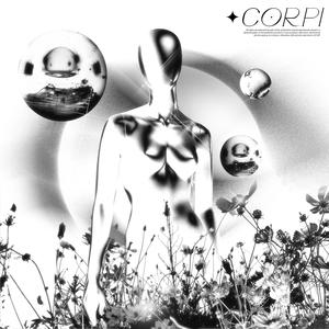 Corpi