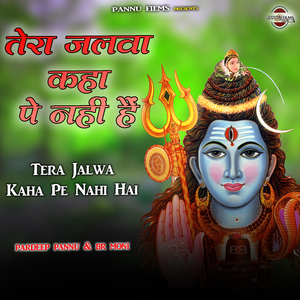 Tera Jalwa Kaha Pe Nahi Hai