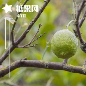 Candy_Wind-和煦的糖果风（李子园 remix）