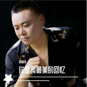 你是我最美的回忆
