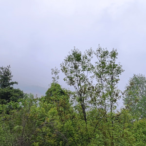 今天·命运的馈赠