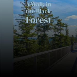 Ain't Gonna Wash For A Week