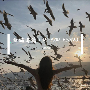 白鸽乌鸦（DJHAIOU REMIX)