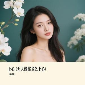 上心  (无人像你多么上心) (Remix)