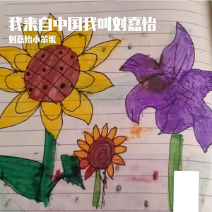 我来自中国我叫刘嘉怡