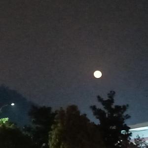 你能找到自己吗