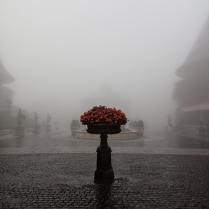 조금씩 옅어져 간다