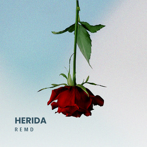 Herida